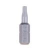 Terrassikruvid 4,5x60mm + otsik T15 Terrassikruvid 4,5x60mm + otsik T15